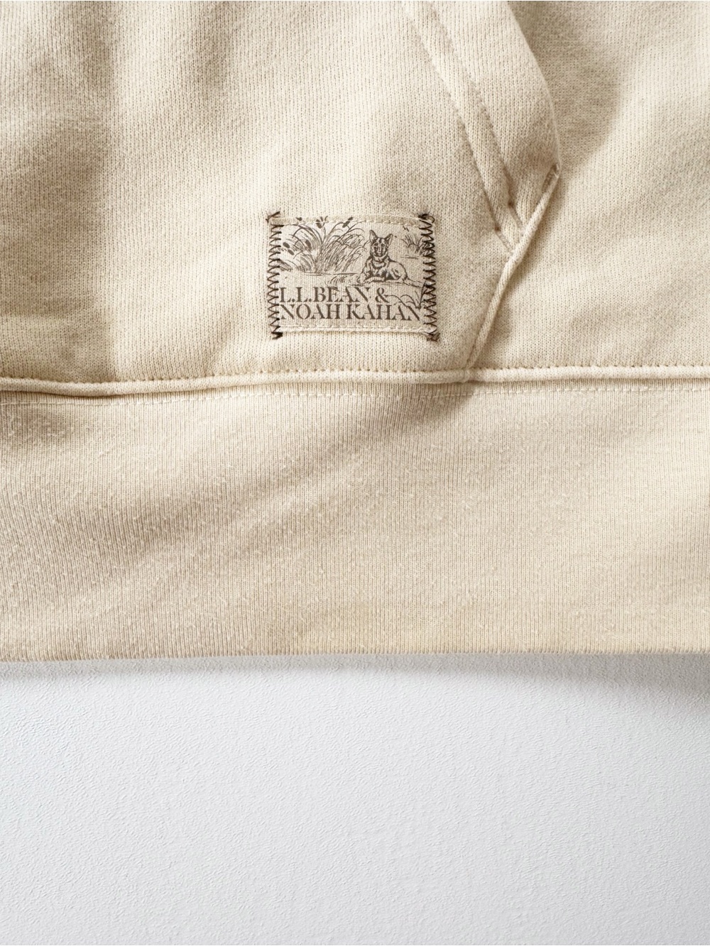 Noah Kahan x L.L. Bean Northern Altitude Collection Hoodie | LARGE - Picture 8 of 10